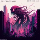 Destruction - Future Funk (Original Mix)
