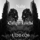 Caliph Koichi - Nahr (Original Mix)