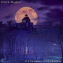 Face Plant - Knockulate
