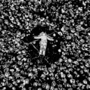 varesis - ya anglichanin ()