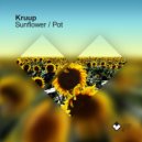 Kruup - Pot (Original Mix)