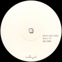 HDSN & Andy Roda - High On Love