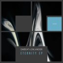 Dabeat & Zalvador - Eternity