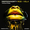 Jacki-e & P-Mac - Acid Chaos (Original Mix)