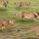 Temporary Hero - MOVE!!!