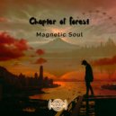 Magnetic Soul - Bopedi Culture (Original Mix)