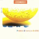 Dance 2 Trance - Power Of American Natives