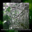 Micronoise Paranoic Sound - Strange (Original Mix)