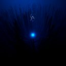 ULTRAEDITS. - Annabelle ()
