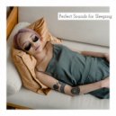 Perfect Sounds - Perfect Sounds for Sleeping, Pt. 2