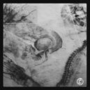 Beevrex - Dead Station