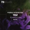 Puddle EcoSystem - Triz (El Ritmo De La Vida)