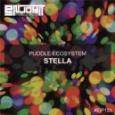 Puddle ecoSystem - Stella (Original Mix)
