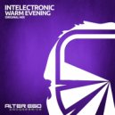 Intelectronic - Warm Evening (Radio Edit)
