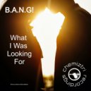 B.A.N.G! - What I Was Looking For