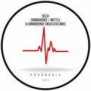 Selsi - Congruence