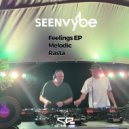 sEEn Vybe - Melodic