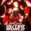 Space Junkie - Holographic Resonance