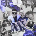 Spectre & Nacion - Black Widow