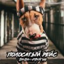 SHuSHa, СТРОГИЙ - Полосатый рейс (Original Mix)