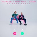 The Motans x Killa Fonic - STESUN (Dj Dark Remix)