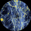 Gunho - Cosmic Delight (Original Mix)