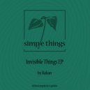 Baban - Something Is Not Rocket Science