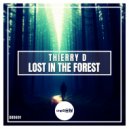 Thierry D - Lost In The Forest ()