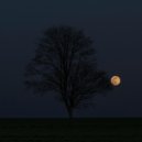 Michael Wall - With Tainted Heart