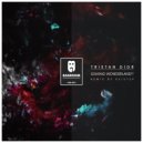 Tristan Dior - Pishsalver (Original Mix)