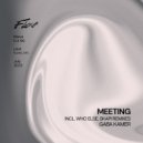 Gaba Kamer - Meeting (Who Else Remix)