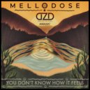 Mellodose & Dale and the ZDubs & Vibright - You Don't Know How It Feels
