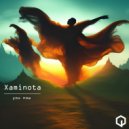 Xaminota - Chopper (Original Mix)