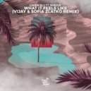 Gianni Blu, Mingue - What It Feels Like (Vijay & Sofia Zlatko Remix)