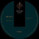 Dan Wild - From The Earth