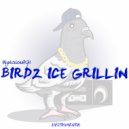 MysteriousPGH - Birdz Ice Grillin