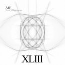 A45 - How Many Days Miss For Tomorrow ()