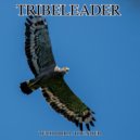 Tribeleader - IRRADIATE
