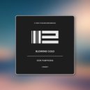 Igor Pumphonia - Blowing Cold