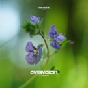 Jacob Brasil feat. Deep Insane - Overvoices (Radio Edit)