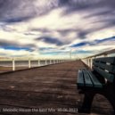 Dj Vell - Organic Melodic House the best Mix 30.06.2023
