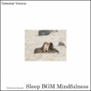 Sleep BGM Mindfulness - Restful Rainfall (Original Mix)