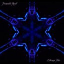 Primaudia Record - A Faraway Place ()
