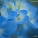 zelёnoe nebo - fascination - fascination