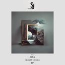 BRA - Insert Drama (Original Mix)