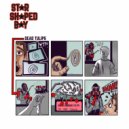 Star Shaped Boy - Dead Tulips (Original Mix)