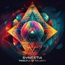Synestia - Principle Of Polarity (Original Mix)