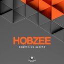 Hobzee - Not Lost Forever