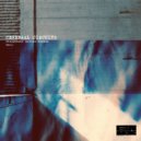 Cerebral Circuits - Resistance Across Oceans