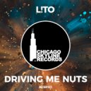 L!TO - Driving Me Nuts (Original Mix)